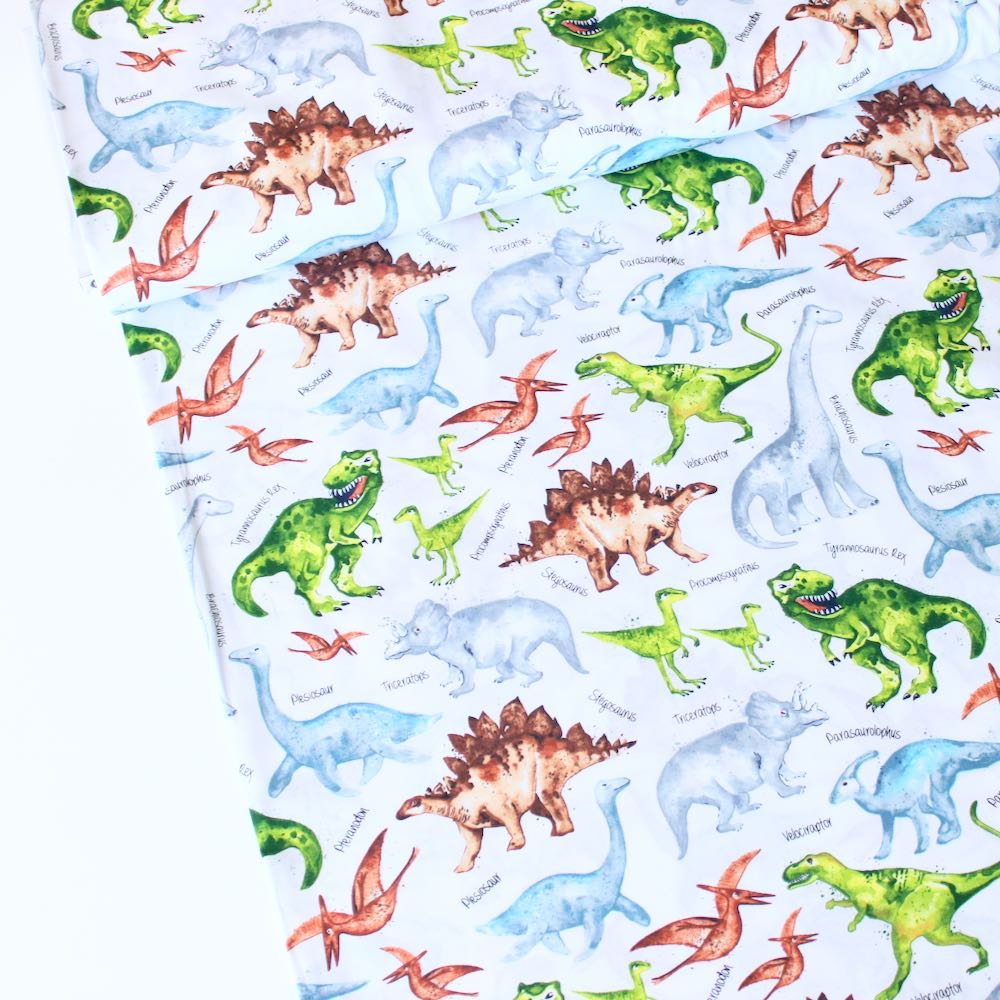 Dino And Names White - Frumble Fabrics