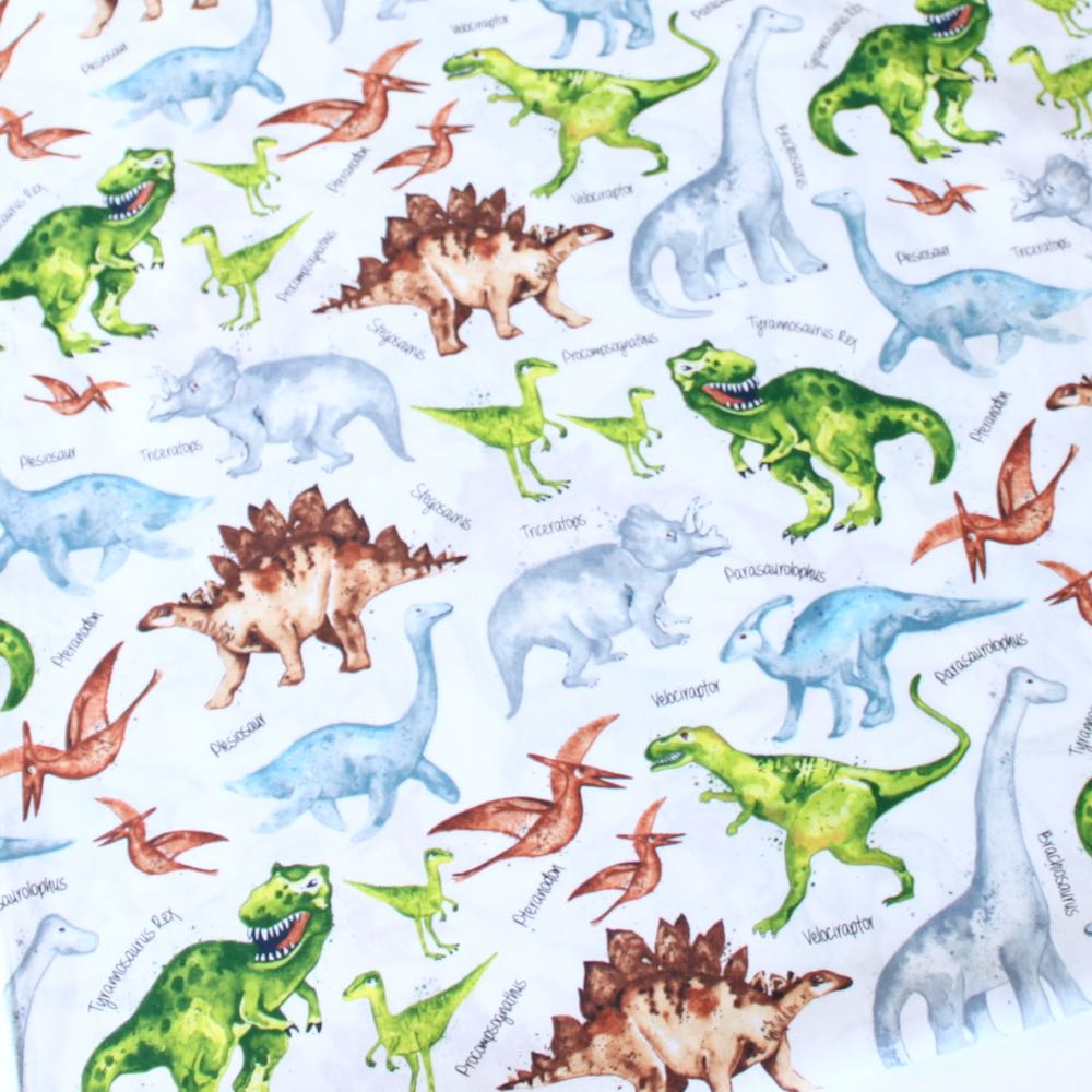 Dino And Names White - Frumble Fabrics