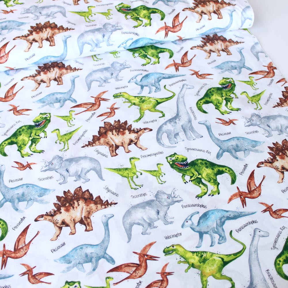 Dino And Names White - Frumble Fabrics