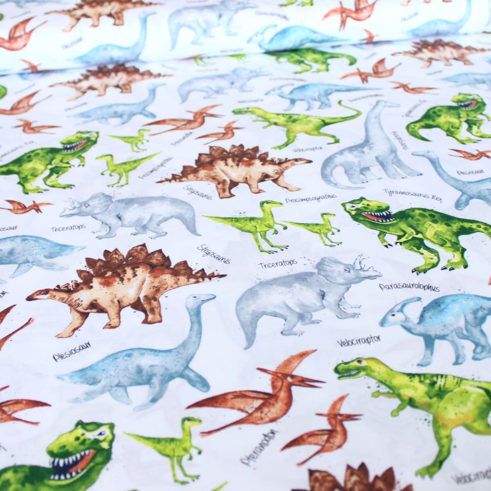 Dino And Names White - Frumble Fabrics