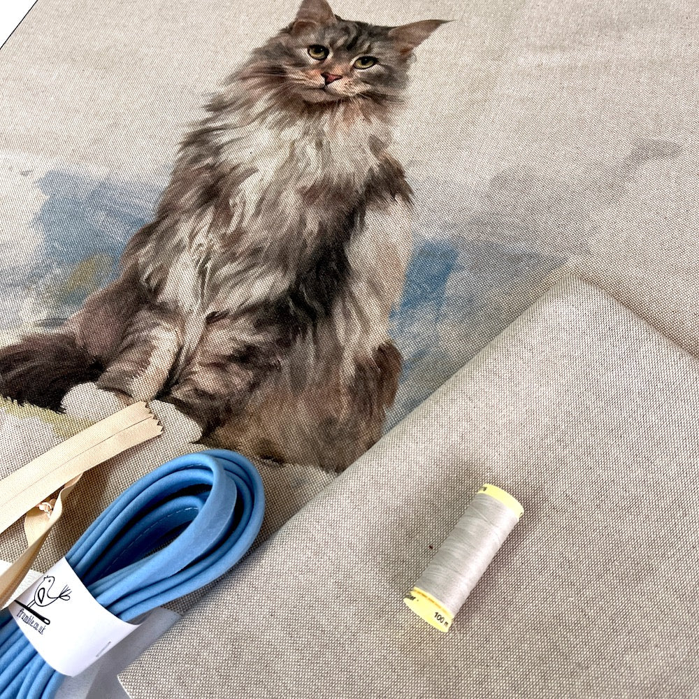 Fluffy Cat Cushion Panel Project Piped Kit  (zip or envelope) Sky