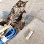 Fluffy Cat Cushion Panel Project Piped Kit  (zip or envelope) Sky