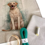 Labrador Cushion Panel Project Piped Kit  (zip+envelope) Teal
