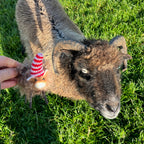 Sheep Felt Decoration - Fluffy Caramel with Hat