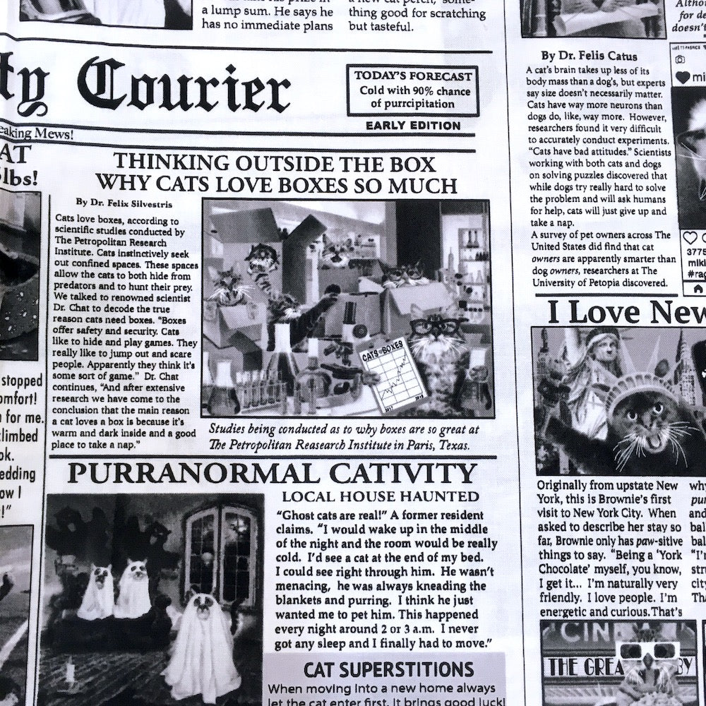 Cat Burglar Newsprint - Frumble Fabrics