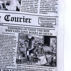 Cat Burglar Newsprint - Frumble Fabrics