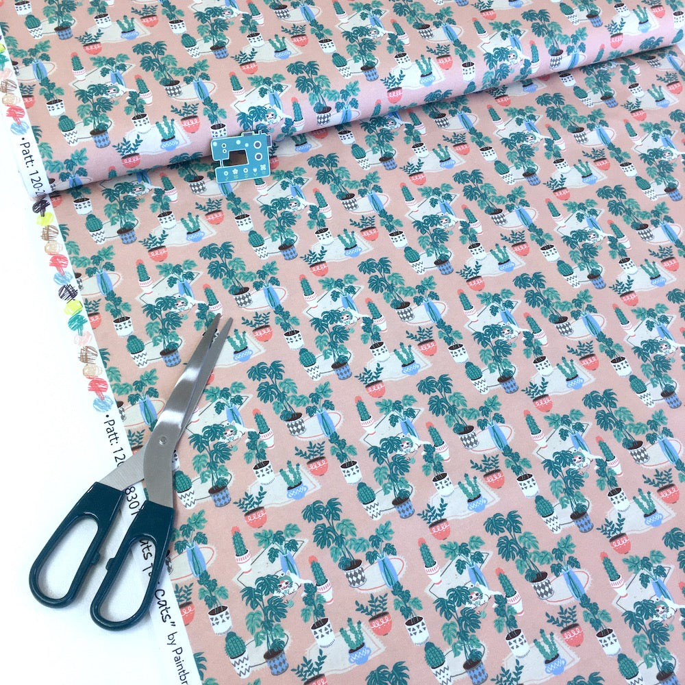 Paintbrush Studio - Hats For Cats Hiding Behind Plants - Multi