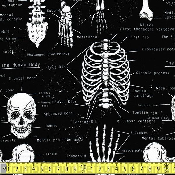 Glow In The Dark Skeletons - Frumble Fabrics