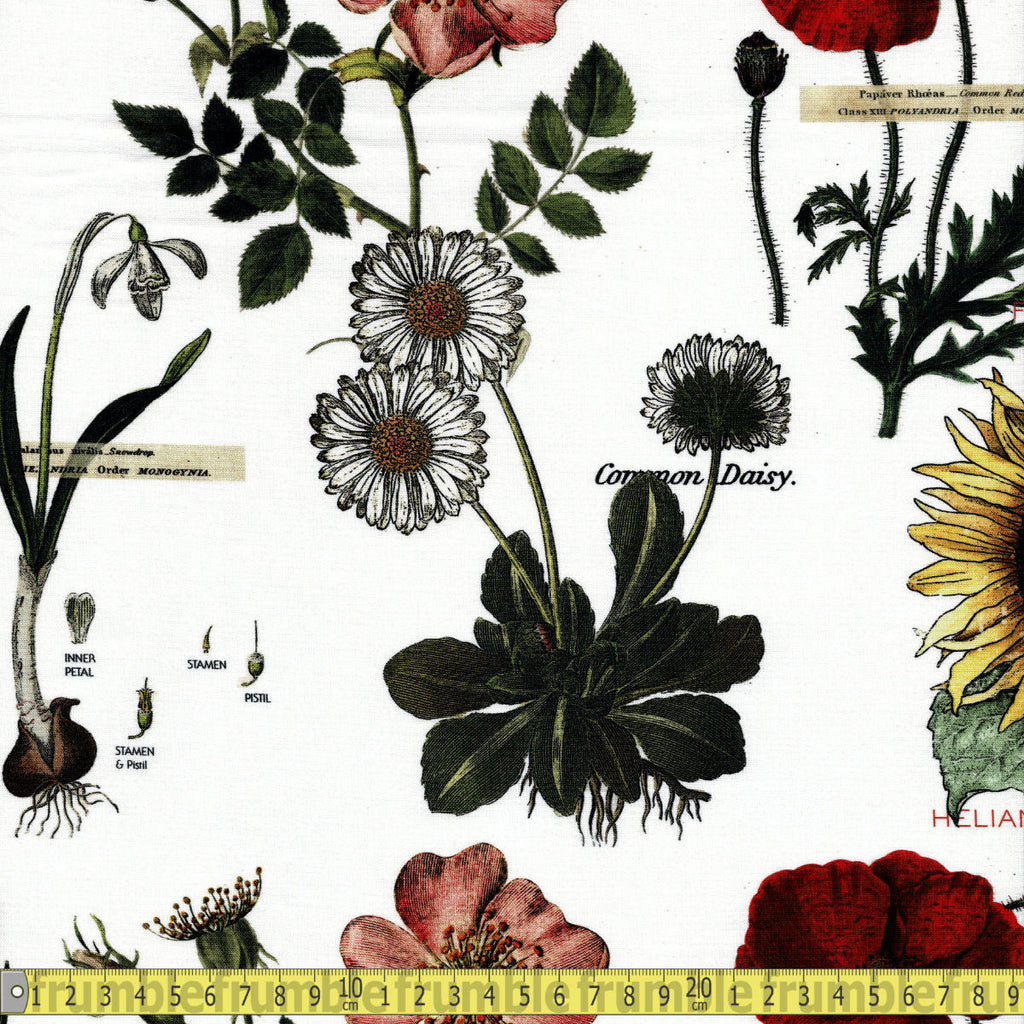 Riley Blake Fabric - Art Journal Botanicals - White Sewing and Dressmaking Fabric