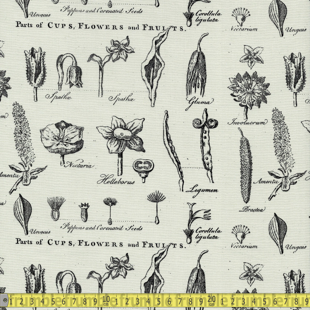 Riley Blake Fabric - Art Journal Flower Study - Light Grey Sewing and Dressmaking Fabric