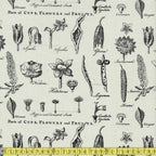 Riley Blake Fabric - Art Journal Flower Study - Light Grey Sewing and Dressmaking Fabric