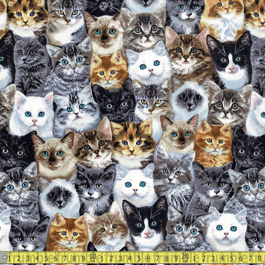 Timeless Treasures - Cat Lady Mixed Breeds - Multi Sewing and Dressmaking Fabric