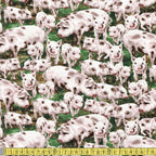 Timeless Treasures - Farm Life - Packed Pigs Multi Sewing and Dressmaking Fabric