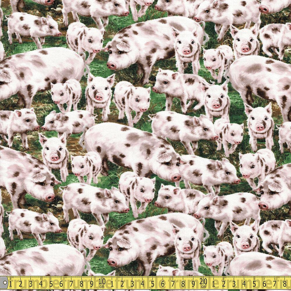 Timeless Treasures - Farm Life - Packed Pigs Multi Sewing and Dressmaking Fabric