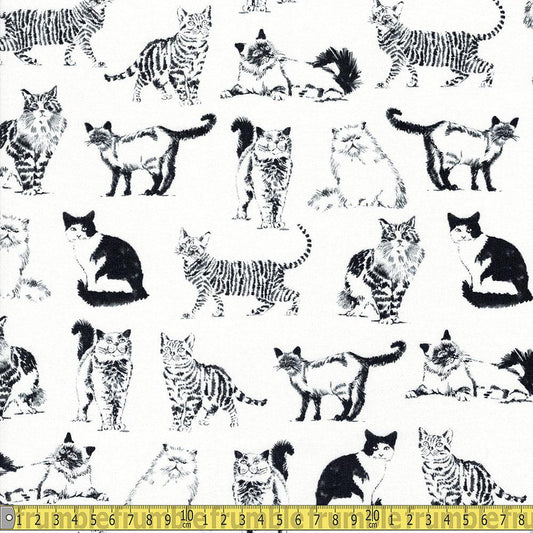 Timeless Treasures - Pet Sketch - Sketched Realistic Cats White Sewing Fabric