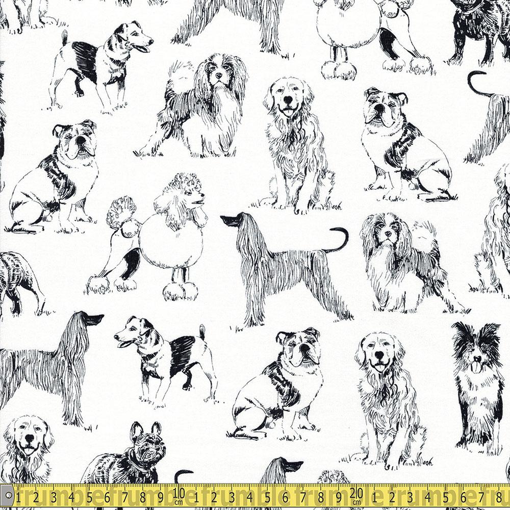 Timeless Treasures - Pet Sketch - Sketched Realistic Dogs White Sewing Fabric