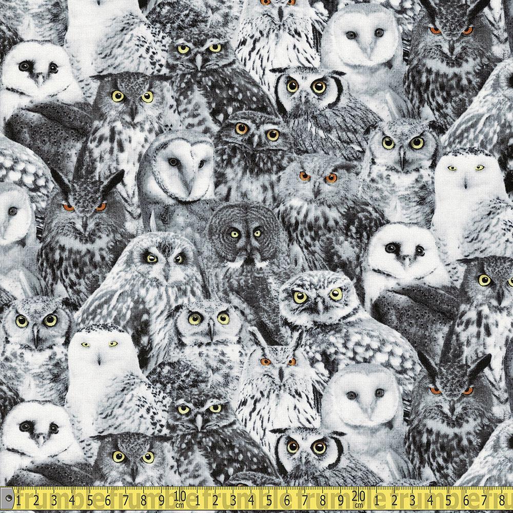 Packed Owls Black - Frumble Fabrics